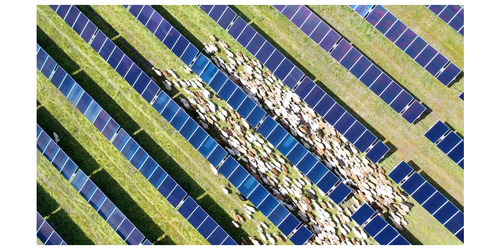 Meta, Silicon Ranch to install 720 MW solar portfolio in the U.S.--Solarbe Global