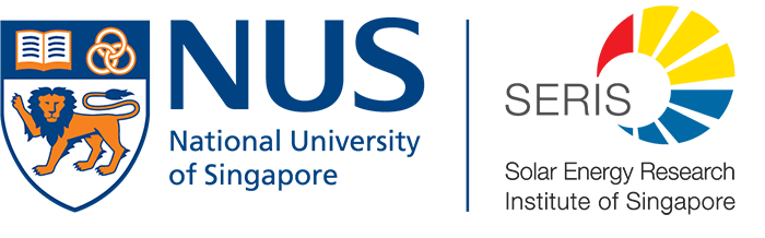 2nd ipv workshop organizer--nus seris