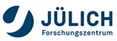 Julich-2nd IPV workshop organizer