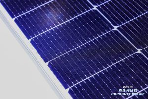 Solar module prices may drop further amid polysilicon price fall