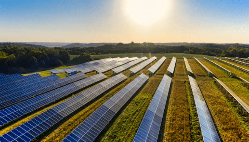 US EIA highlights solar dominance in H1 2024